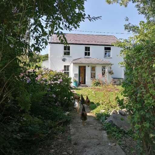 לינה וארוחת בוקר Cwm-y-glo Ty Madog Eryri Snowdonia מראה חיצוני תמונה